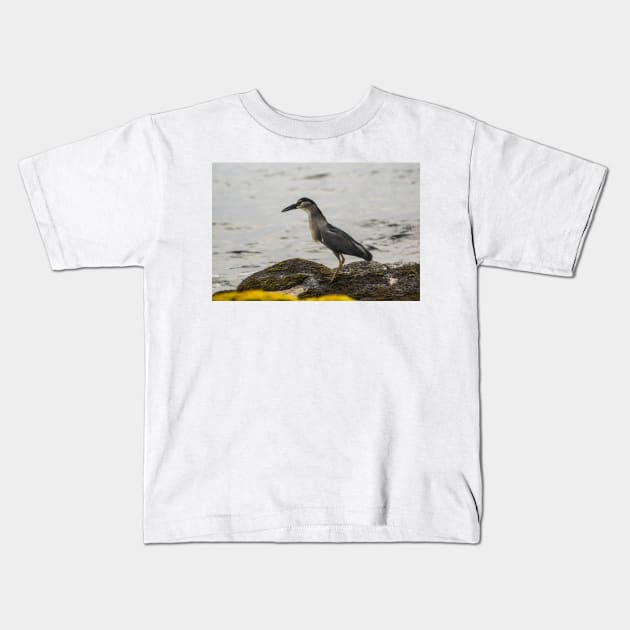 Black-crowned night heron of hawaii 2 Kids T-Shirt by KensLensDesigns